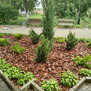 Хвойная мульча в Камышине купить - оперативная доставка по всей России