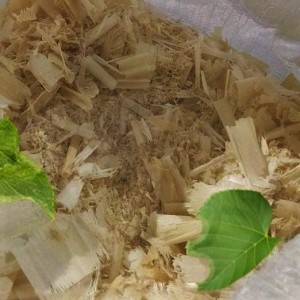Лиственные опилки оптом в Камышине от завода-производителя Лигнум Ресурс
